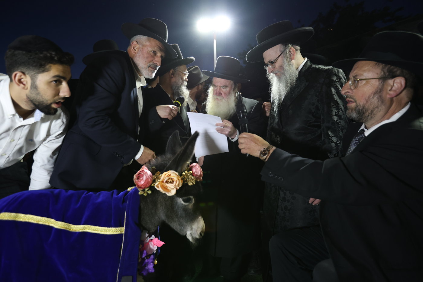 מעמד פדיון פטר חמור במירון
