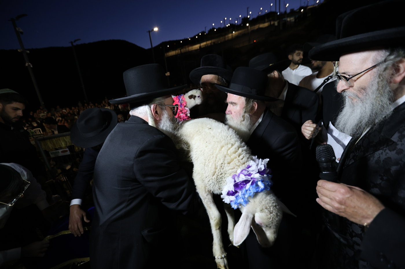 מעמד פדיון פטר חמור במירון