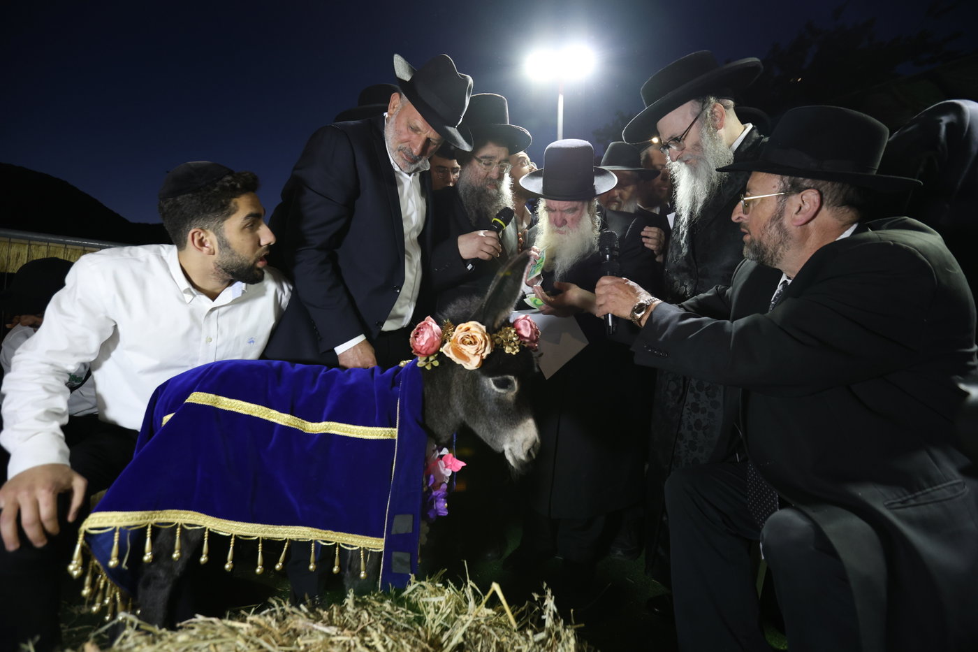 מעמד פדיון פטר חמור במירון