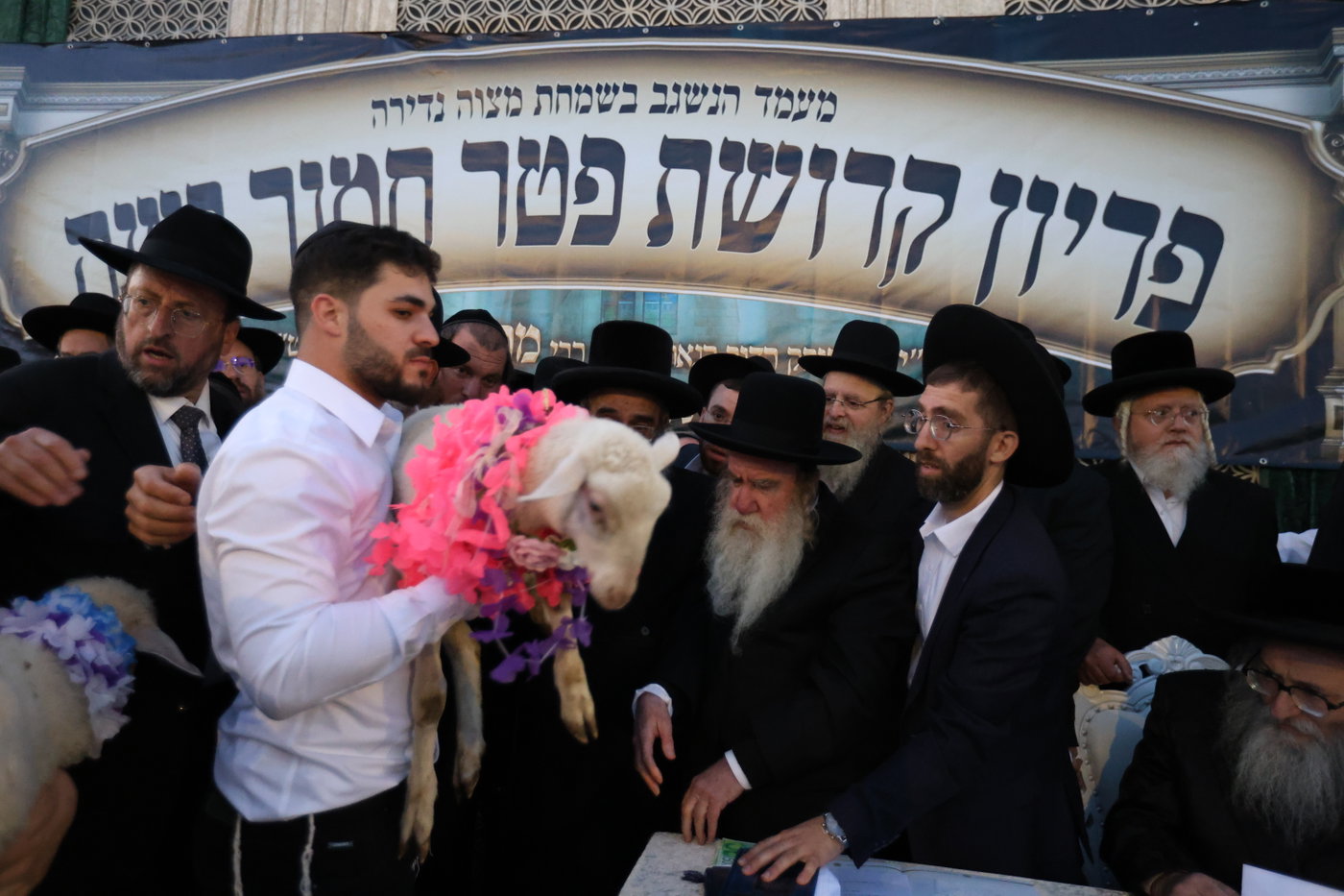 מעמד פדיון פטר חמור במירון