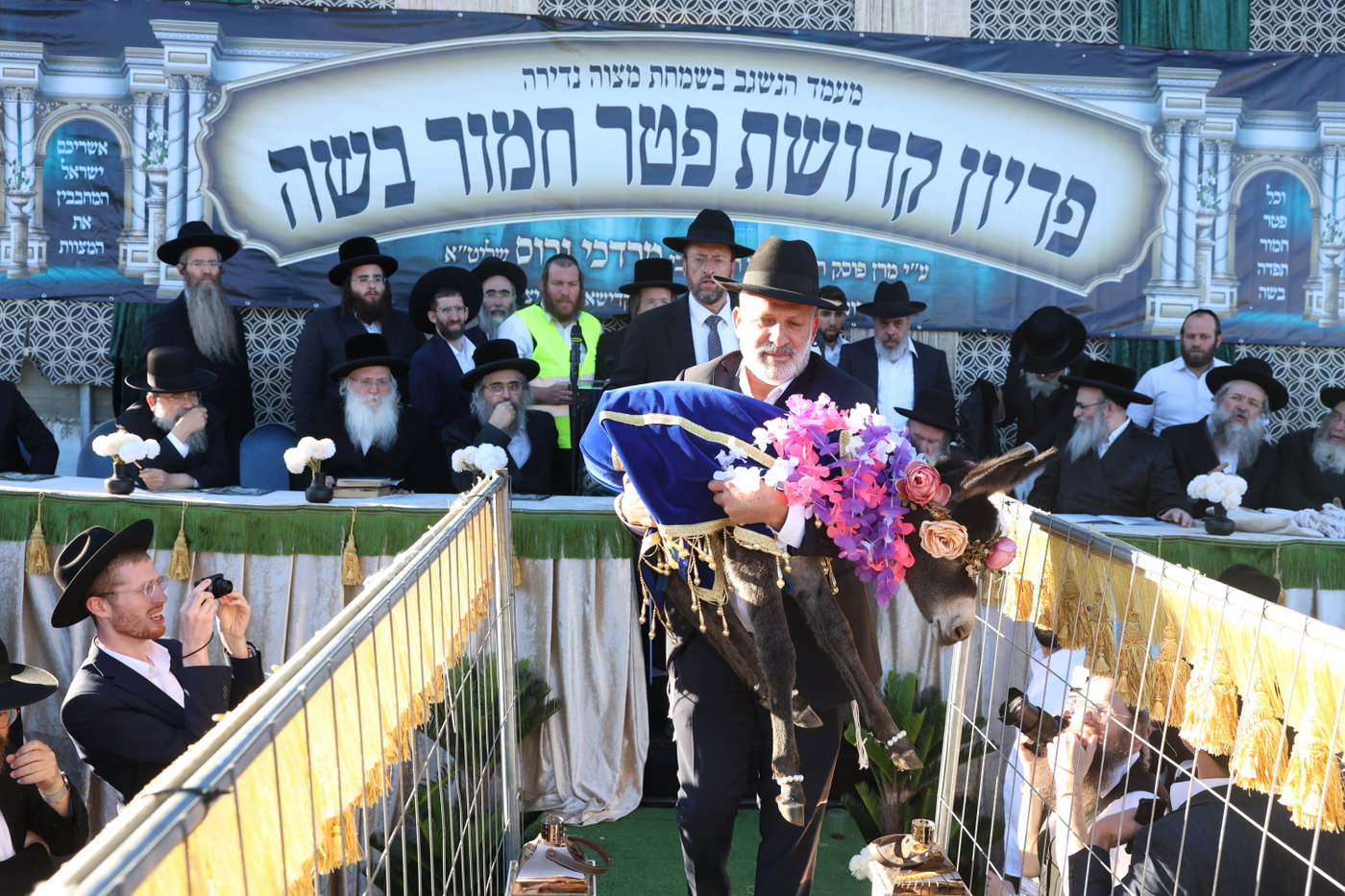 מעמד פדיון פטר חמור במירון