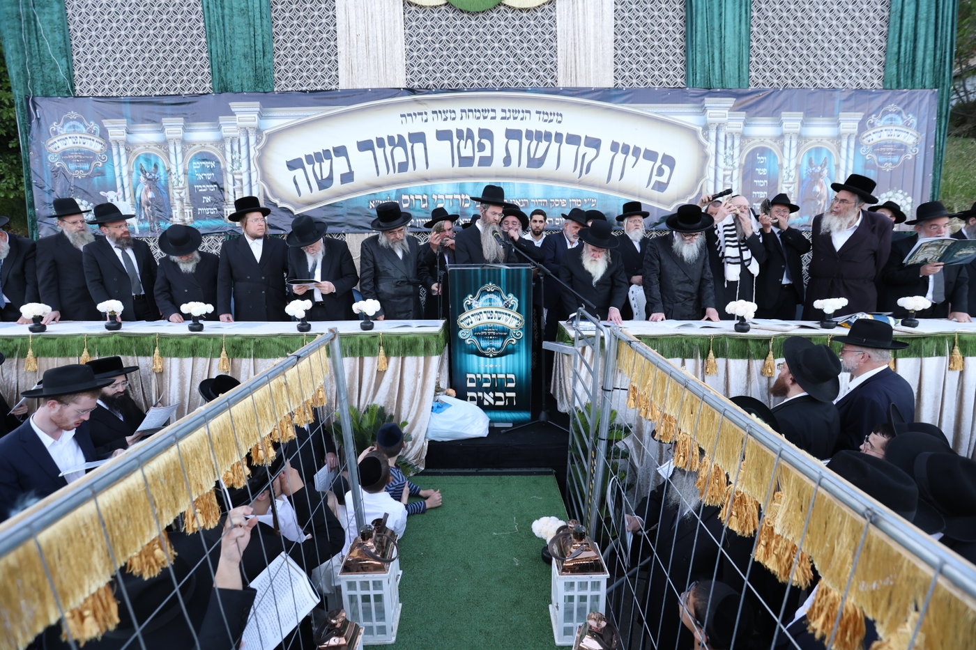 מעמד פדיון פטר חמור במירון