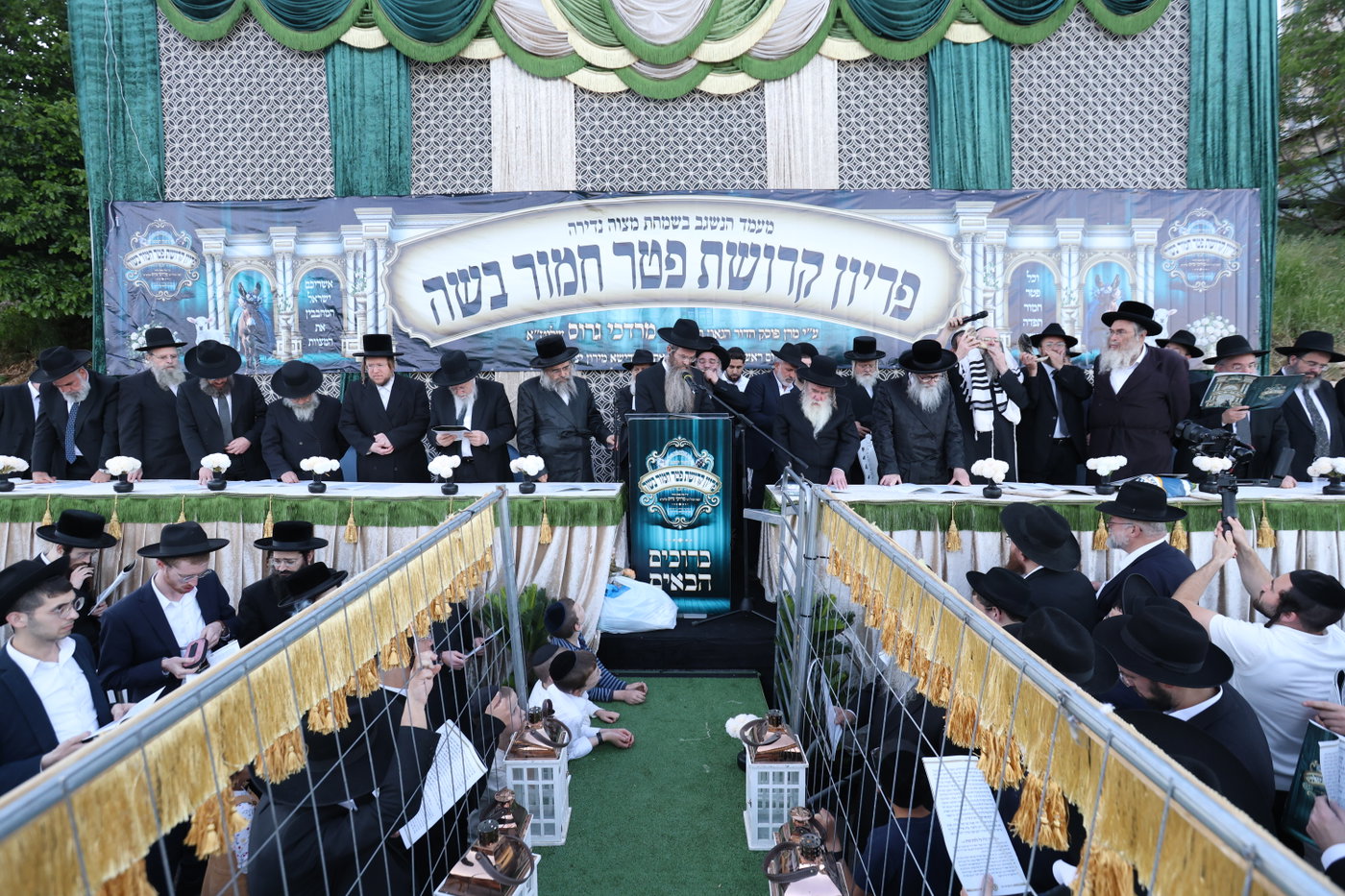 מעמד פדיון פטר חמור במירון