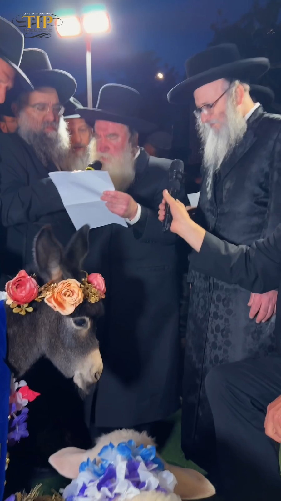 פדיון פטר חמור במירון
