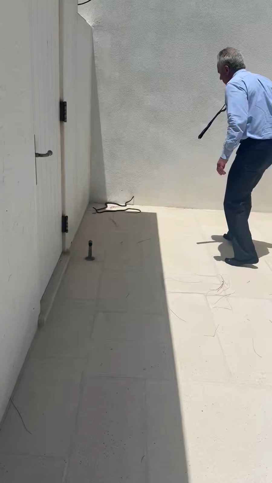 שר הנחשים: הסרטון של רוברט קנדי ג'וניו