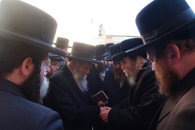 האדמו"רים מערלוי וסלאנים בכותל