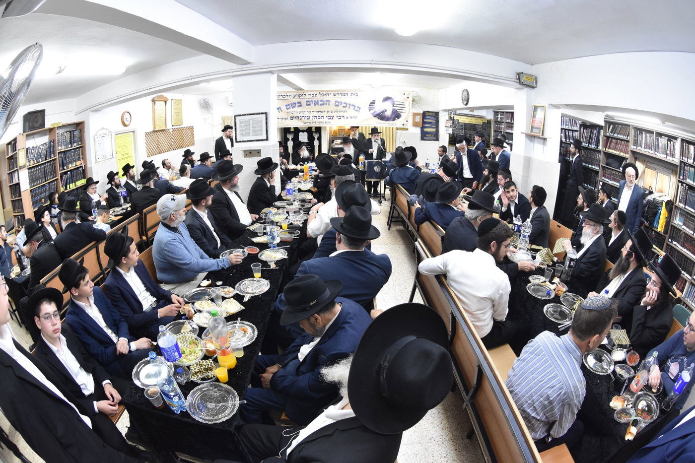 הילולא בלוקווע וולברוז 