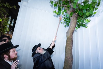 האדמו"ר מצאנז קלויזנבורג במצוות שילוח הקן