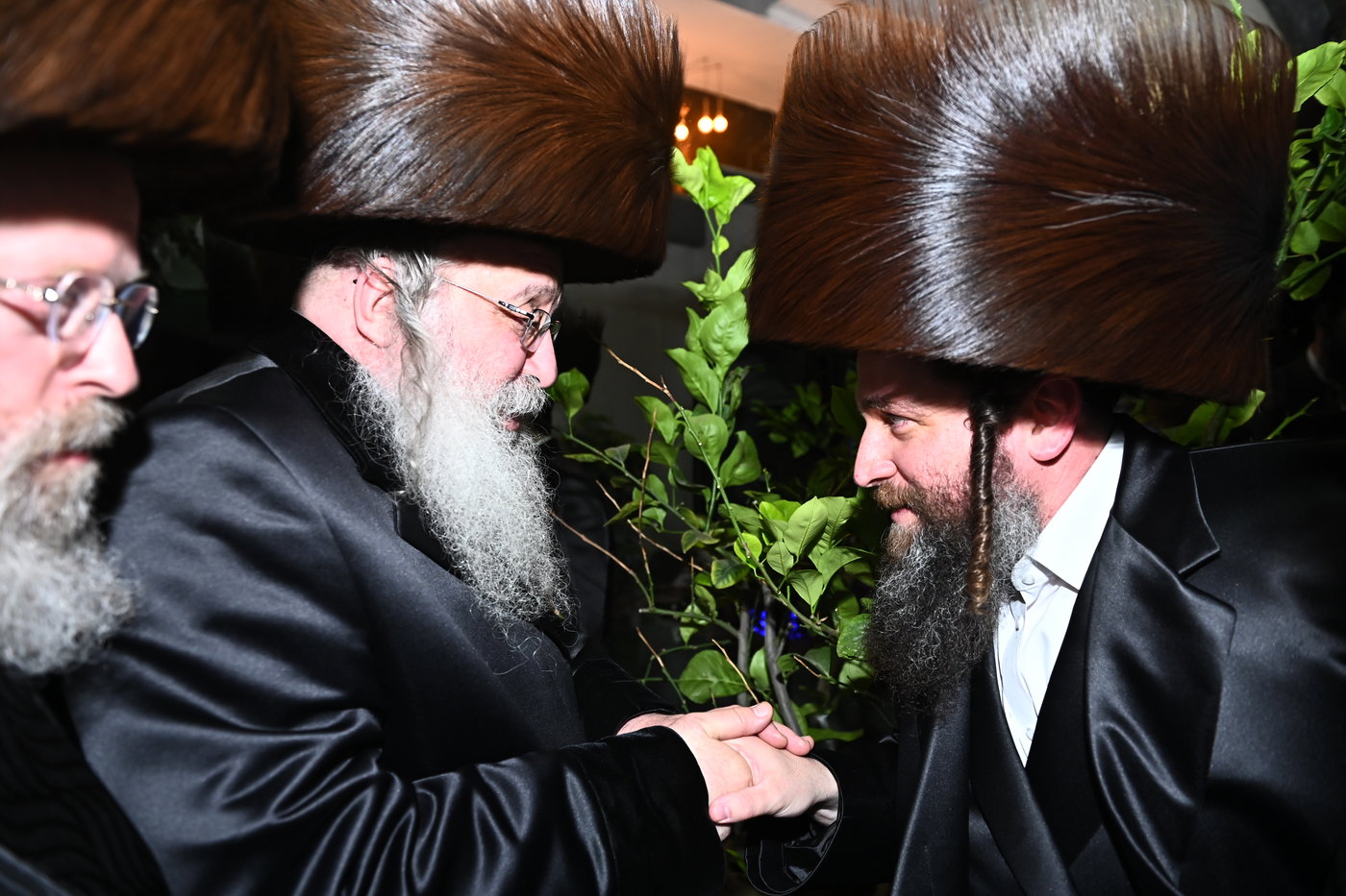 שמחת בית נאראל - זוועהיל - נדבורנה - שאץ ויזניץ