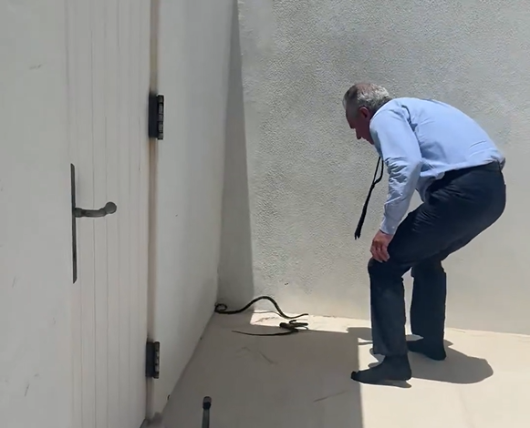 שר הנחשים: הסרטון של רוברט קנדי ג'וניו
