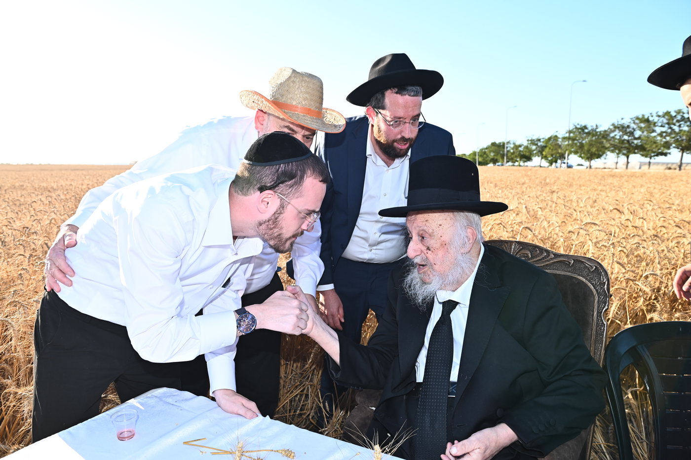 הגרב"ד פוברסקי והגר"ש גלאי בקצירת חיטים