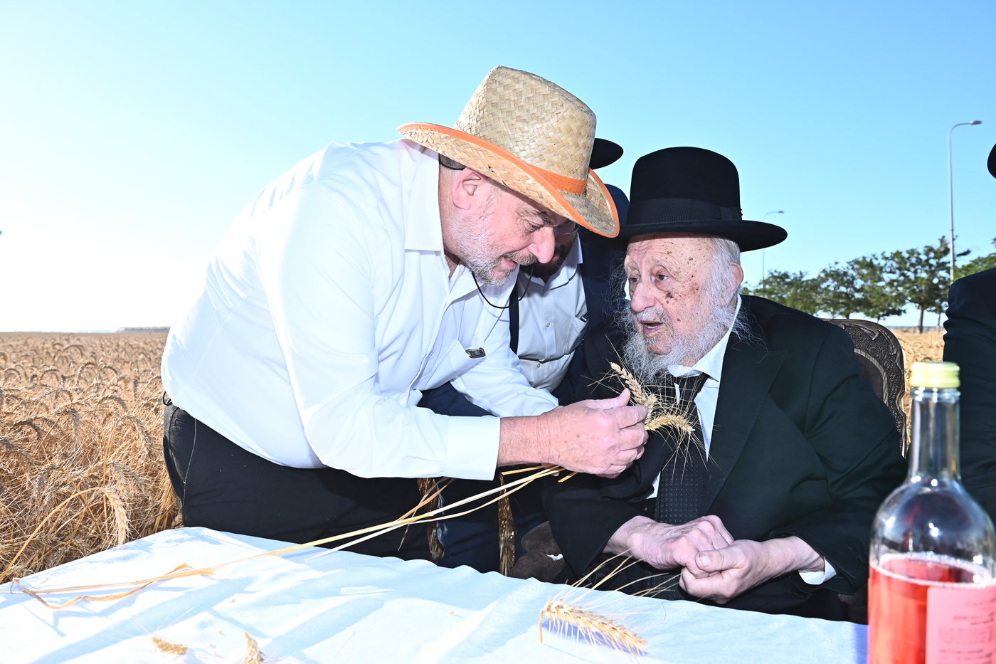 הגרב"ד פוברסקי והגר"ש גלאי בקצירת חיטים