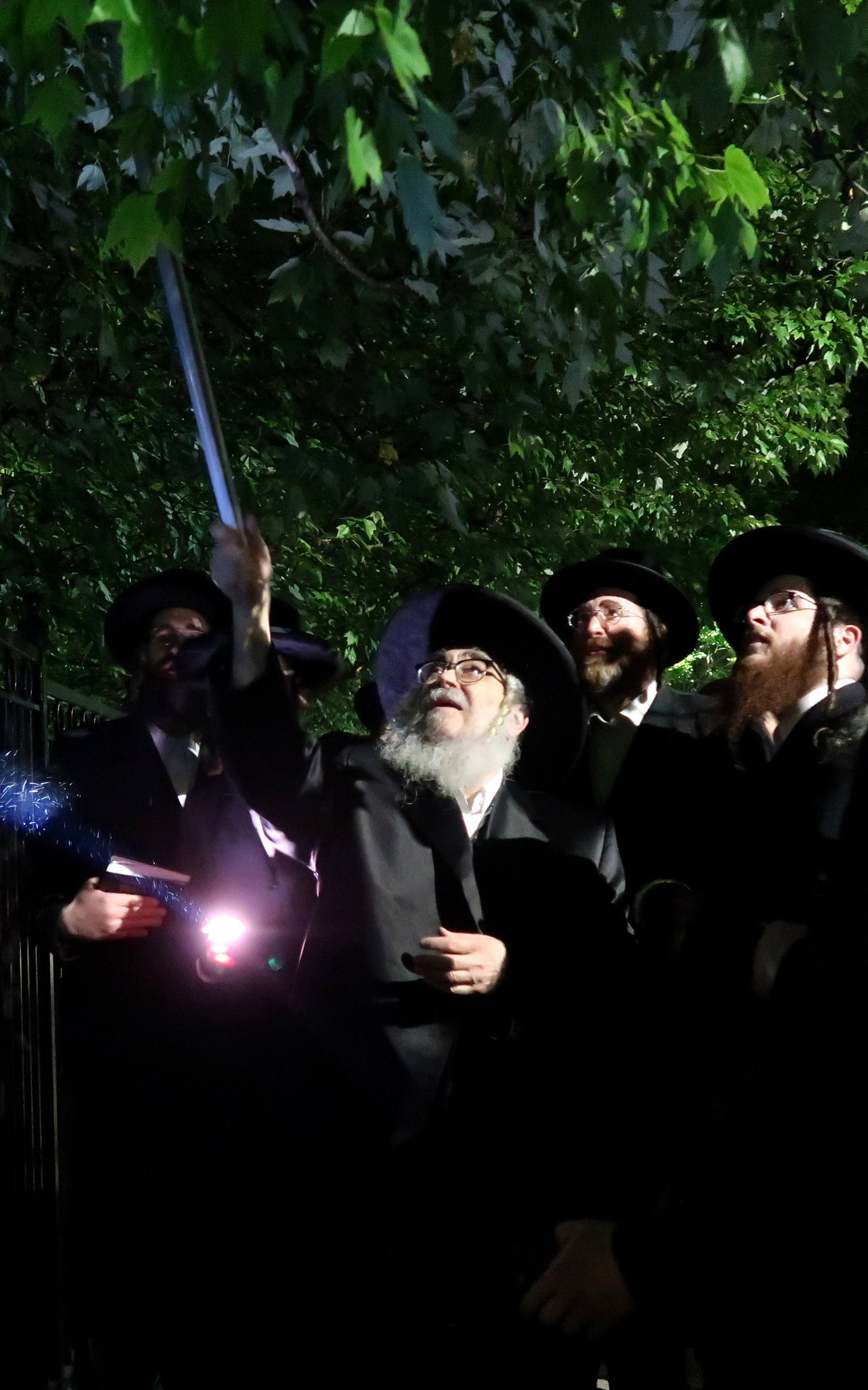 האדמו"ר מסאטמר בשילוח הקן