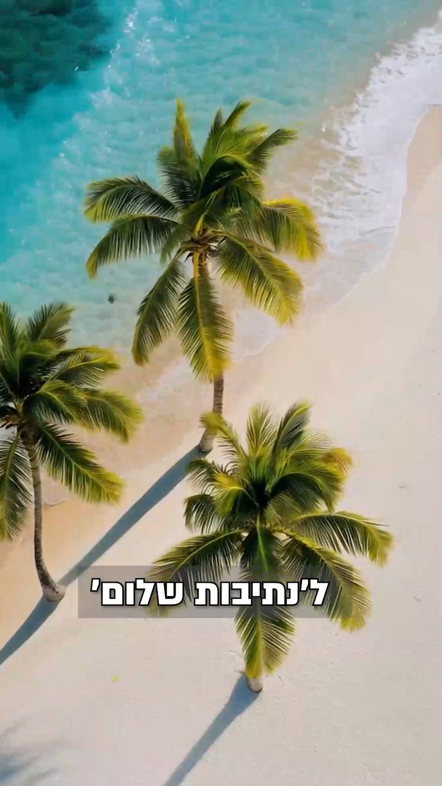 תסתכל רק על ההצלחות ולא בכישלונות | צפו ברבי אלימלך בידרמן