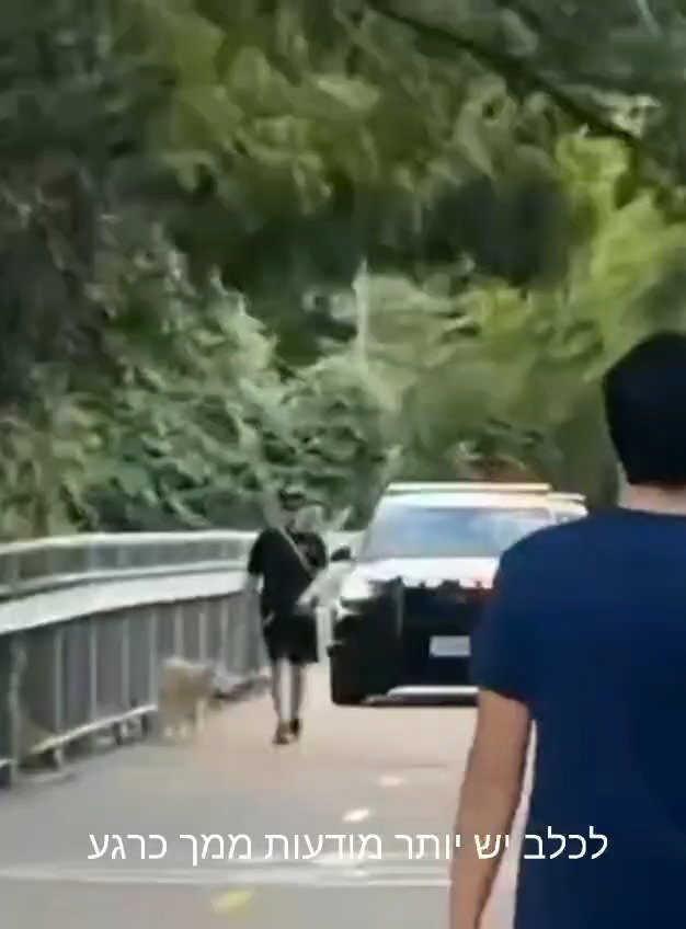 תיעוד הכריזה המקורית בטקסס