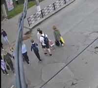תיעוד ביזארי: חצתה את הכביש - והותקפה על ידי... צבי