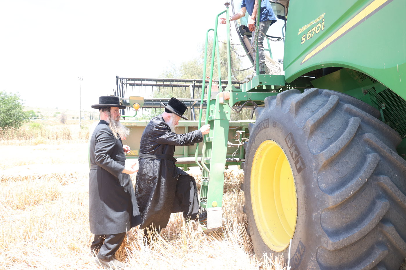 בד"ץ העדה החרדית בקצירת חיטים