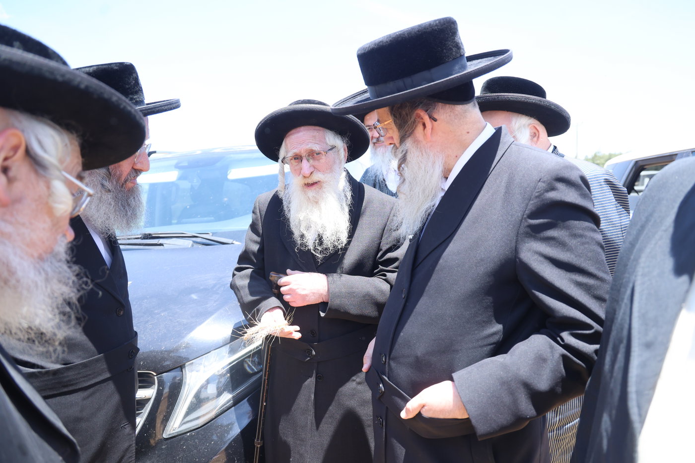 בד"ץ העדה החרדית בקצירת חיטים
