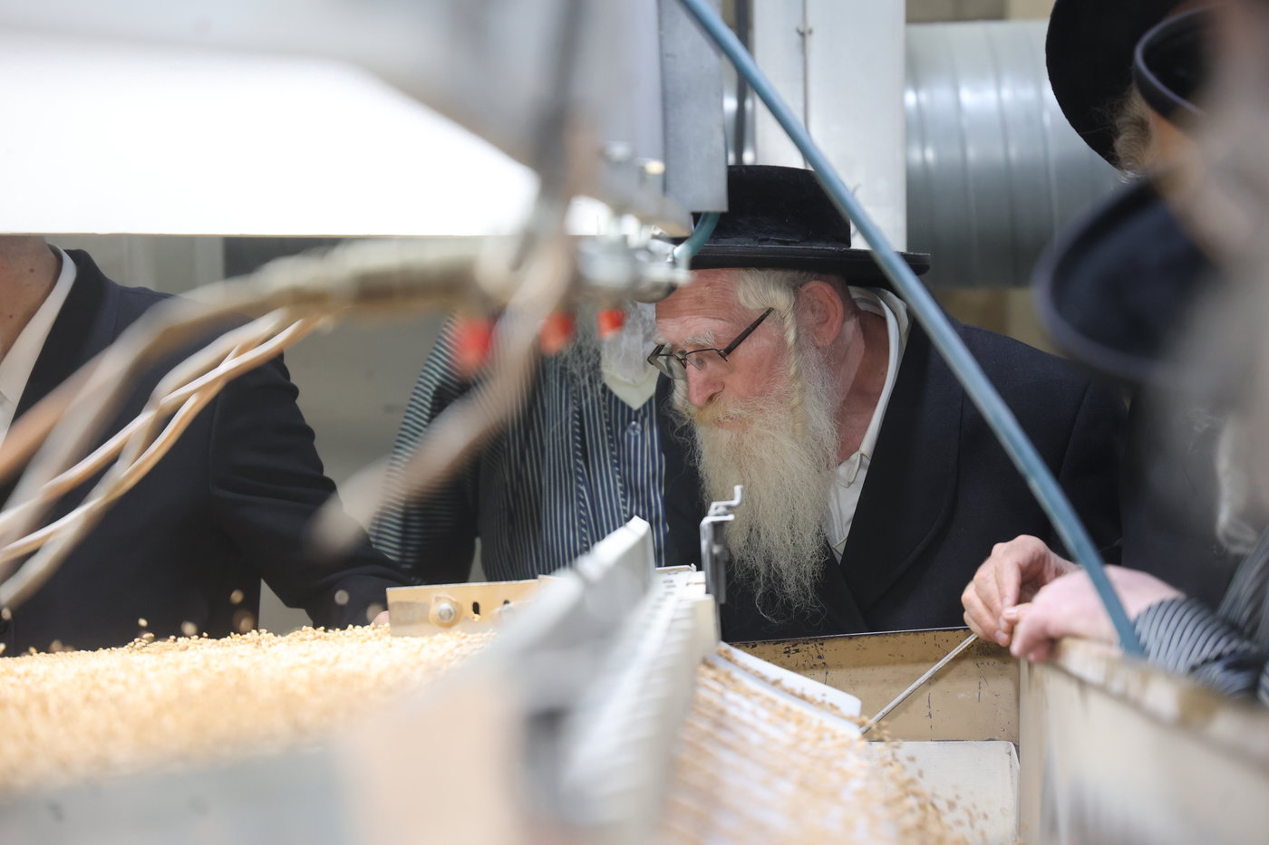 בד"ץ העדה החרדית בקצירת חיטים