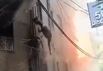 מזעזע: אנשים תועדו כשהם קופצים מבניין בוער במהלך שריפה קטלנית | צפו