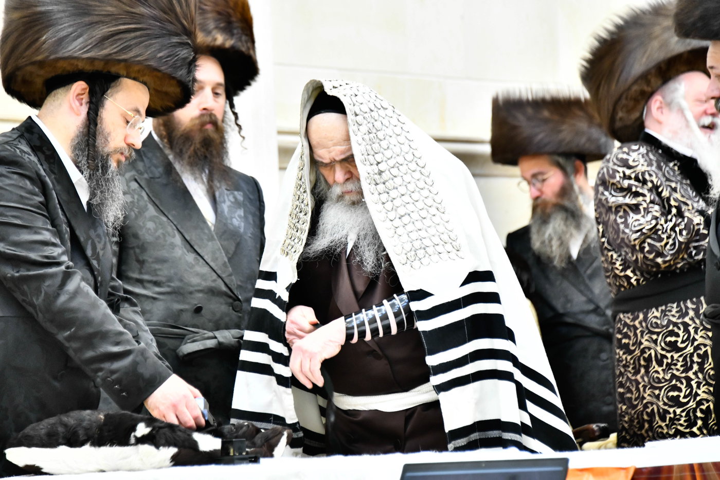 שמחת הברית בחצרות קרעטשניף - פרמשילאן - סטרופקוב