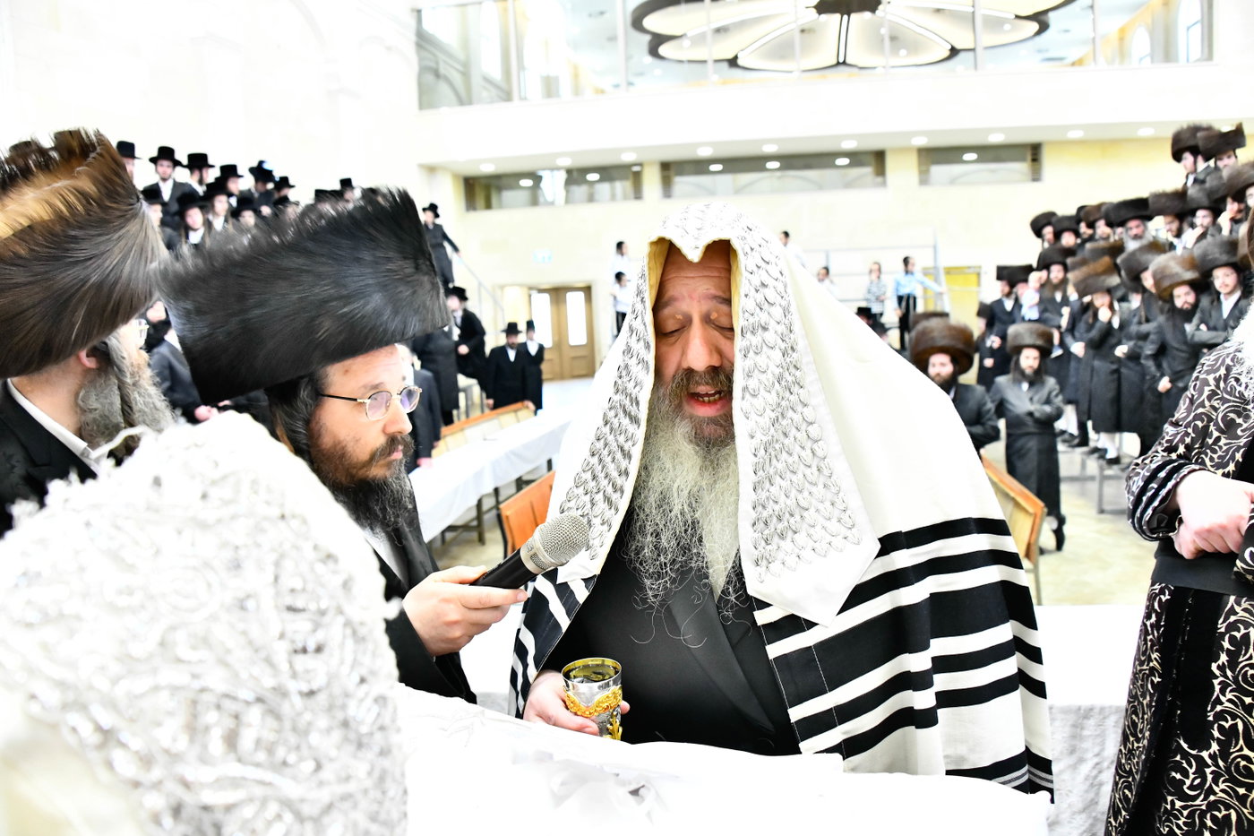 שמחת הברית בחצרות קרעטשניף - פרמשילאן - סטרופקוב