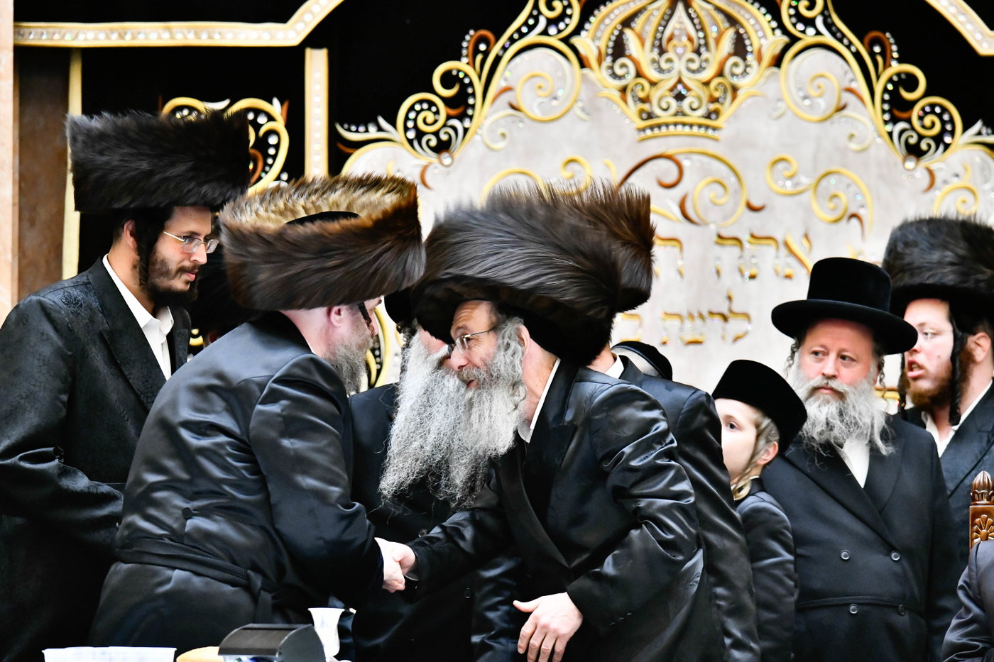 שמחת בית ויז'ניץ