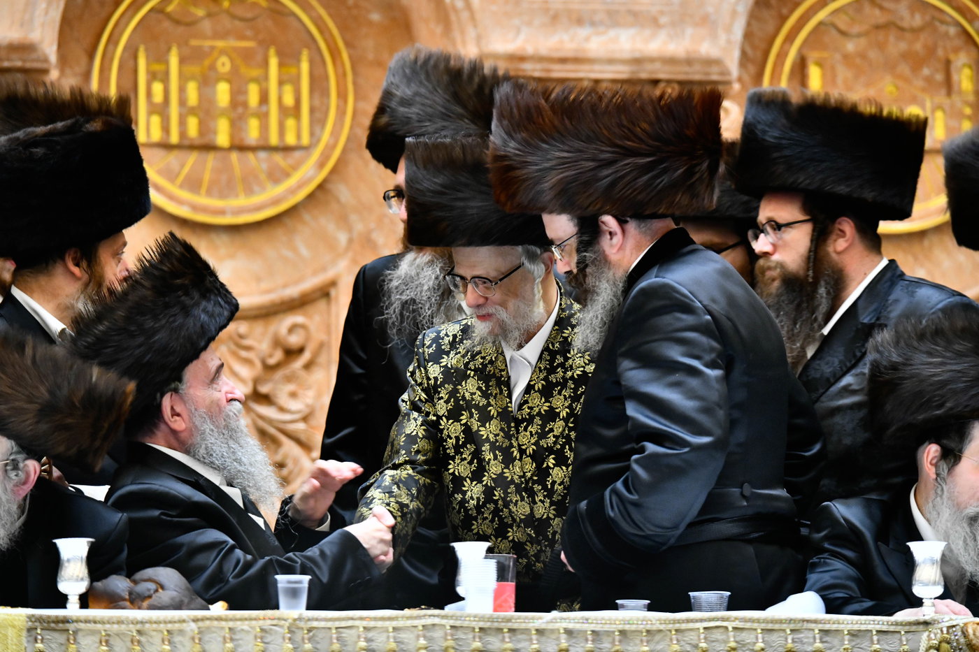 שמחת בית ויז'ניץ