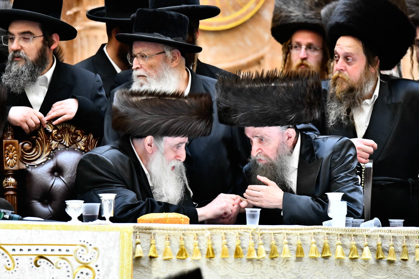 שמחת בית ויז'ניץ