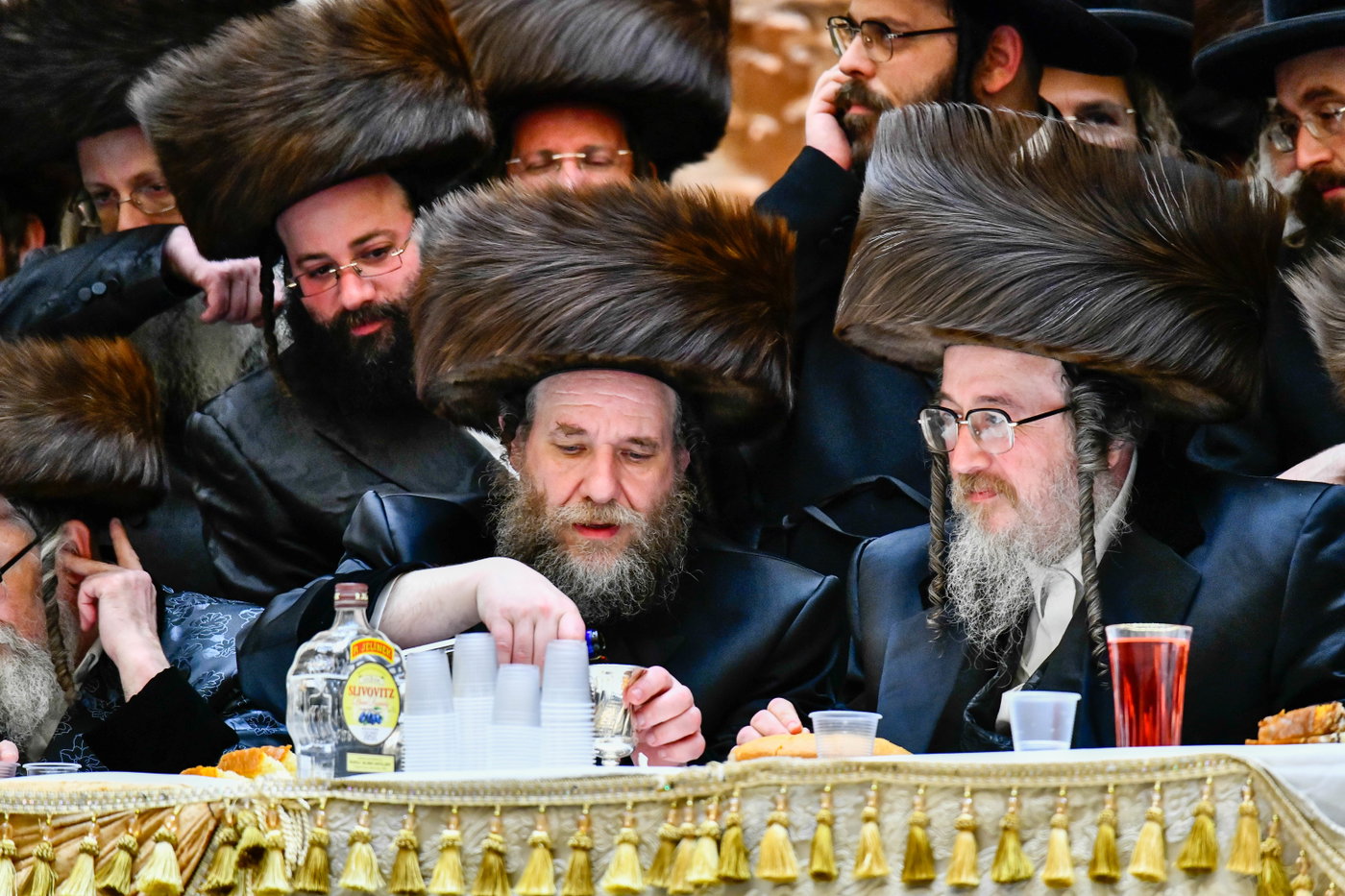 שמחת בית ויז'ניץ
