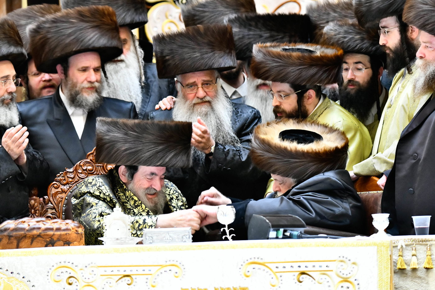 שמחת בית ויז'ניץ