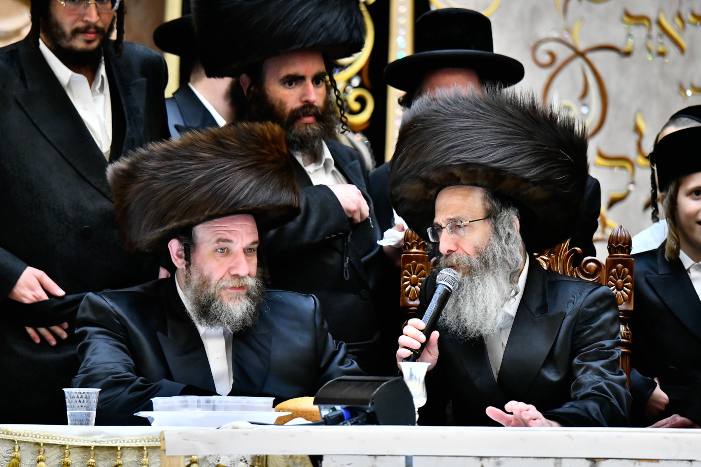 שמחת בית ויז'ניץ