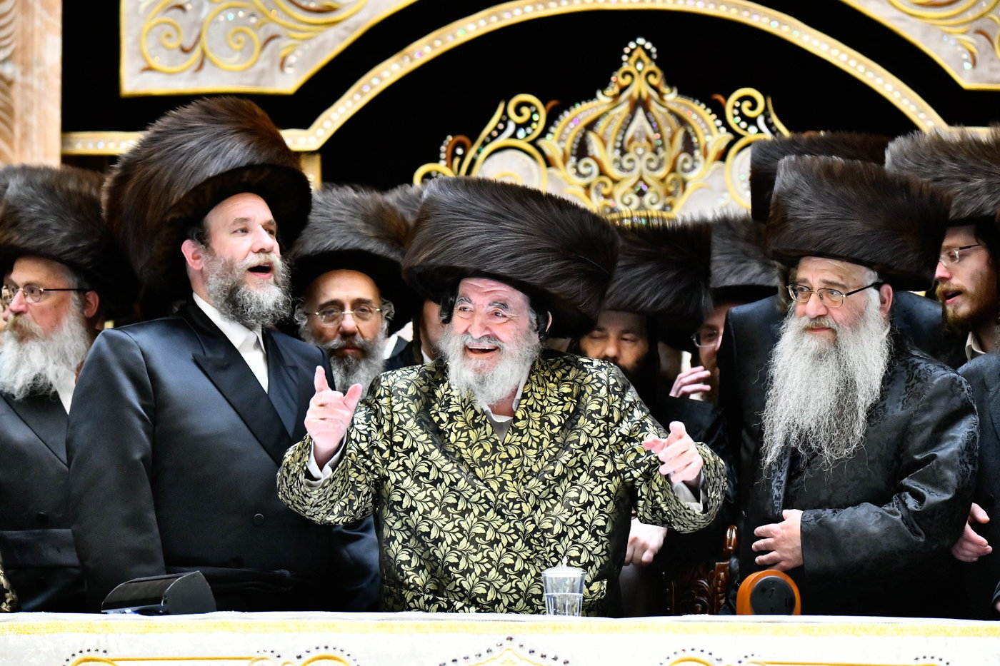 שמחת בית ויז'ניץ