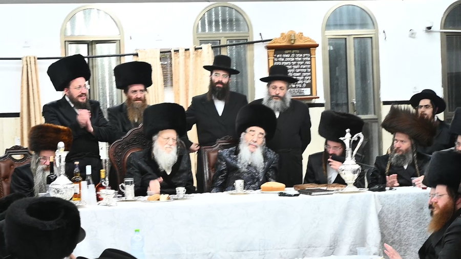 הילולא קדישא במודז'יץ
