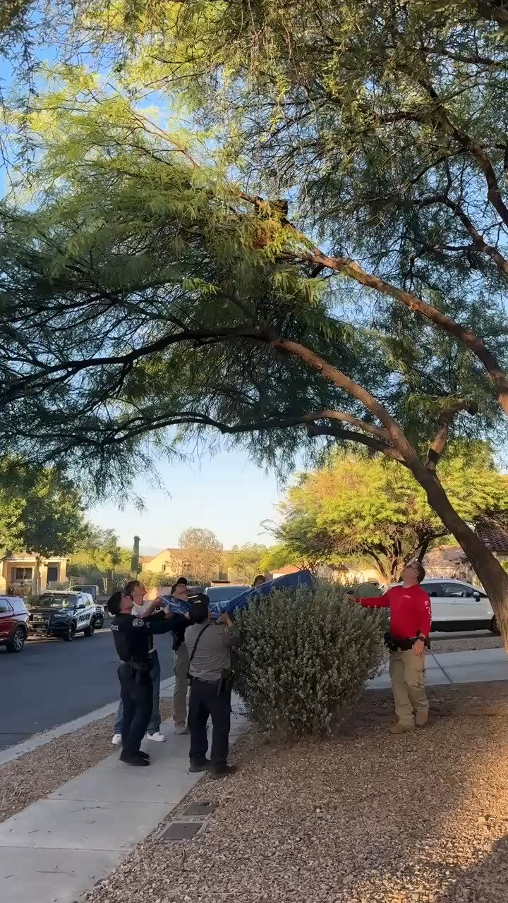 תיעוד החילוץ יוצא הדופן