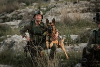 הכלבים בשירות  יכ"ל
