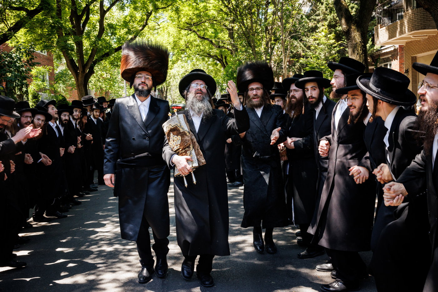 הכנסת ס"ת ע"י ליפא פרידמן בסאטמר