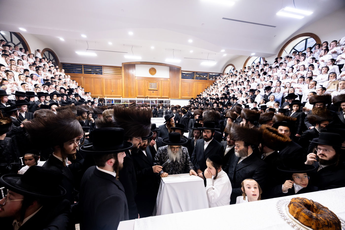 הכנסת ס"ת ע"י ליפא פרידמן בסאטמר