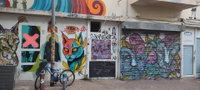 סקרנים לדעת מה יהיה עם איראן? המומחה מספר 1 נחרץ: זה מה שהנשיא טראמפ יעשה עד הערב