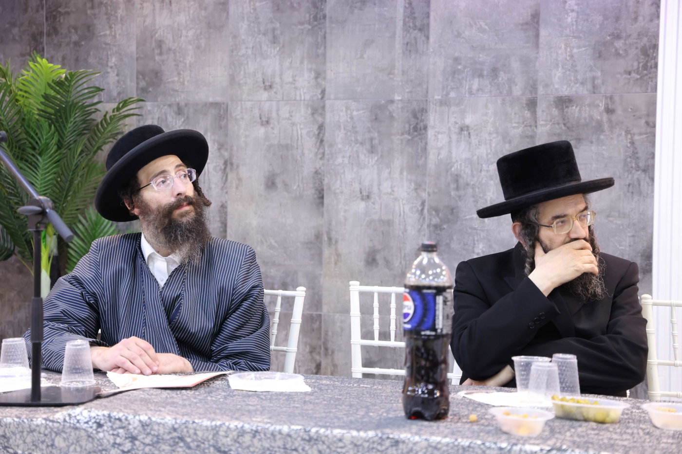 כינוס להתחדשות המערכה נגד הרכבת הקלה