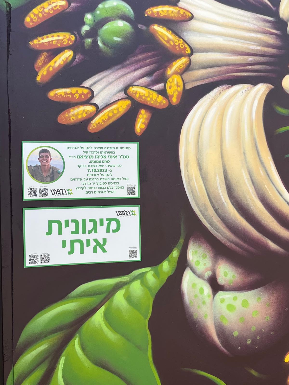 התיעודים מהמיגונית