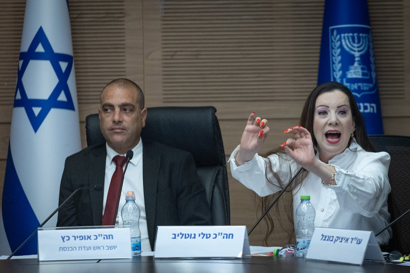 ח"כ טלי גוטליב בדיון על החסינות בוועדת הכנסת