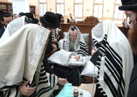 שמחת הברית בחצרות טשארנאביל - מעליץ