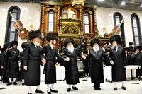 שמחת בית דארג