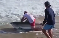 בידיים חשופות: דייג תועד כשהוא נאבק עם תפיסה לא שגרתית