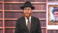 יאכלו ענבים וישבעו: האם מותר לתלוש ענב רקוב מהאשכול? • צפו