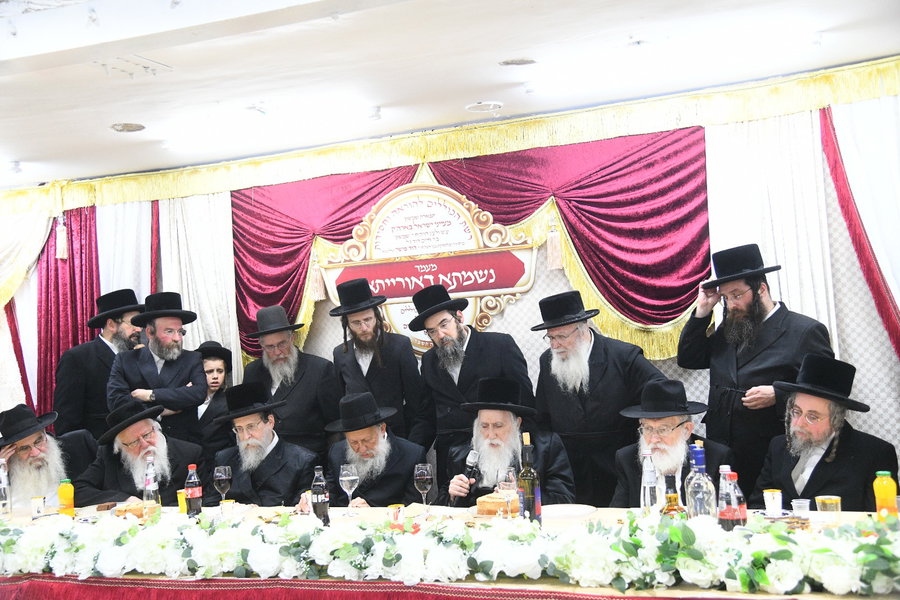 ספר אחד במאה ערים; המהפכה של רשת הכוללים ששינתה את פני עולם החסידות
