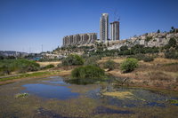 ירושלים בשבוע שעבר