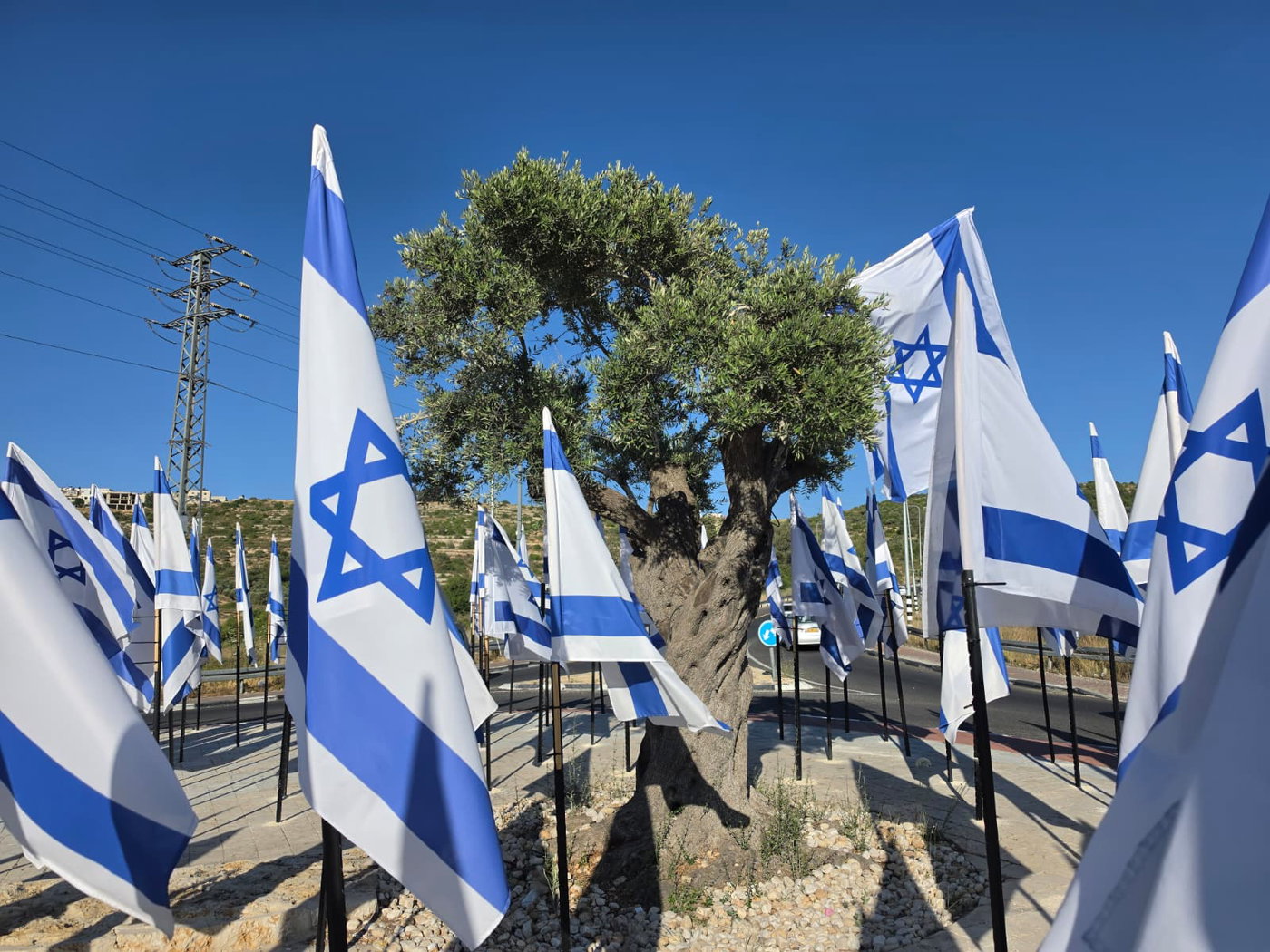 דגלי ישראל פזורים בכבישי יהודה ושומרון