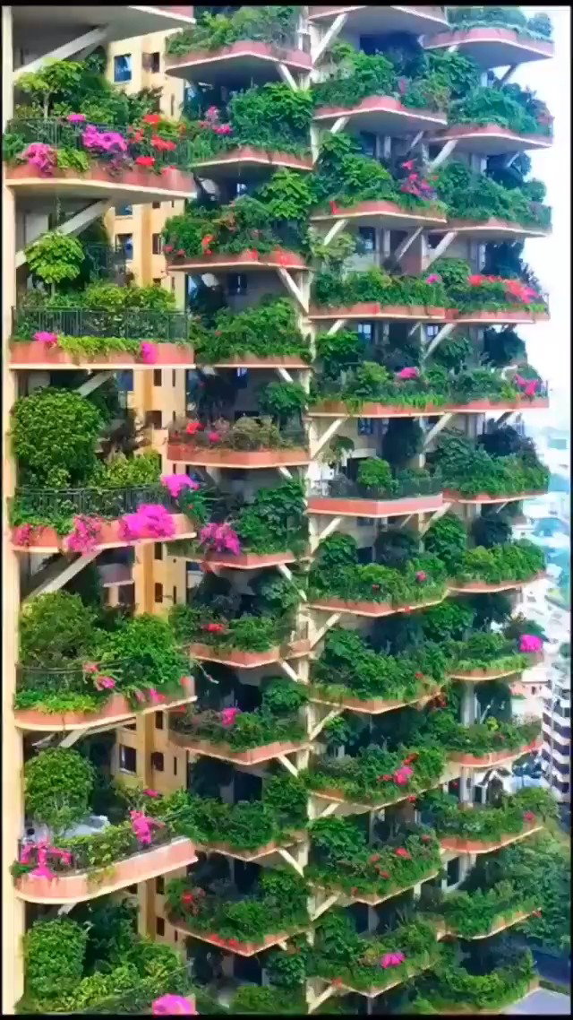 פרויקט המגורים Qiyi City Forest Garden